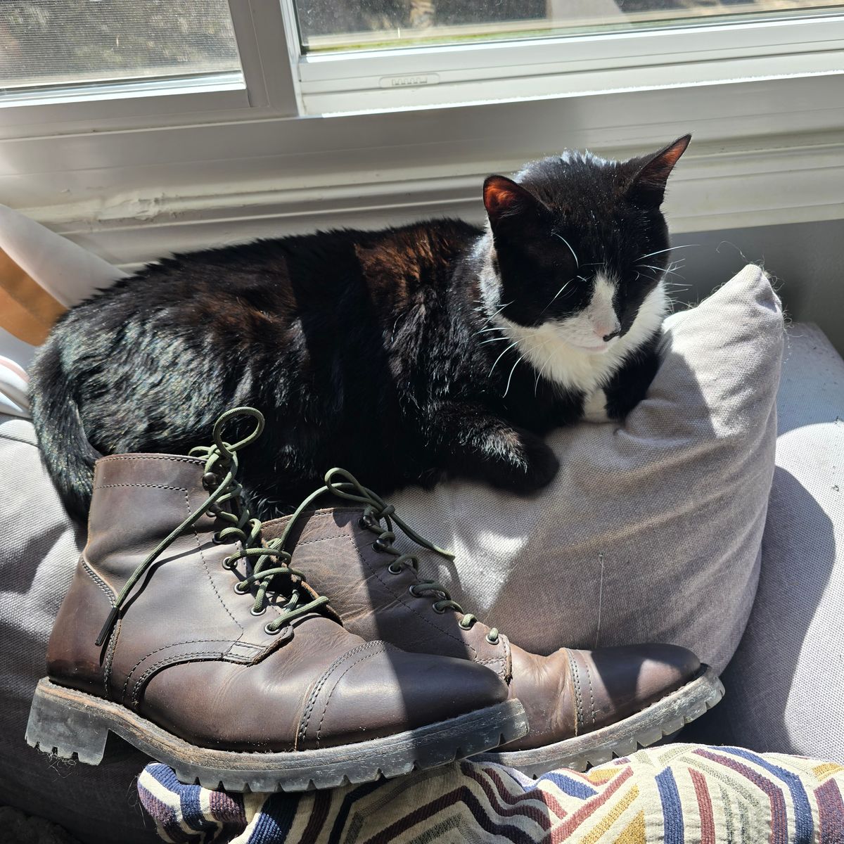 Photo by calljeef on March 1, 2026 of the Thursday Captain in Tobacco Rugged & Resilient.