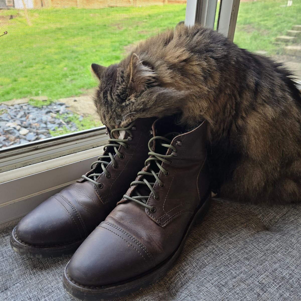 Photo by calljeef on April 3, 2026 of the Thursday Captain in Tobacco Rugged & Resilient.