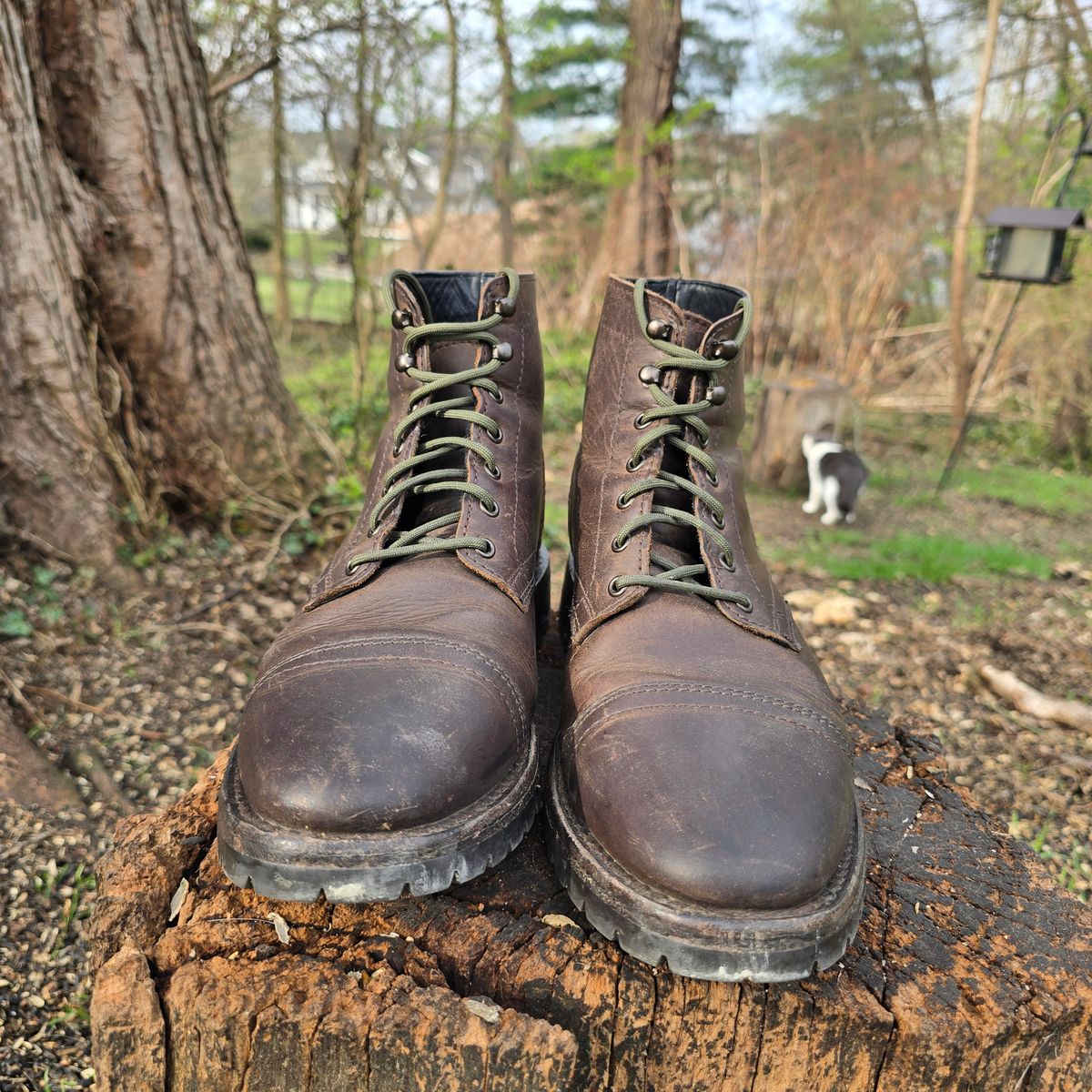 Photo by calljeef on April 3, 2026 of the Thursday Captain in Tobacco Rugged & Resilient.