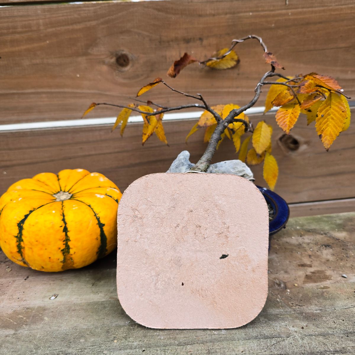 Photo by calljeef on November 2, 2025 of the Nicks Coaster in Wickett & Craig Natural Veg Tan.