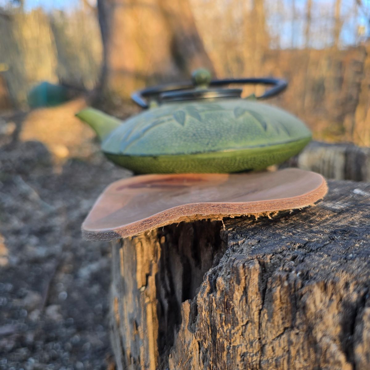 Photo by calljeef on March 1, 2026 of the Nicks Coaster in Wickett & Craig Natural Veg Tan.