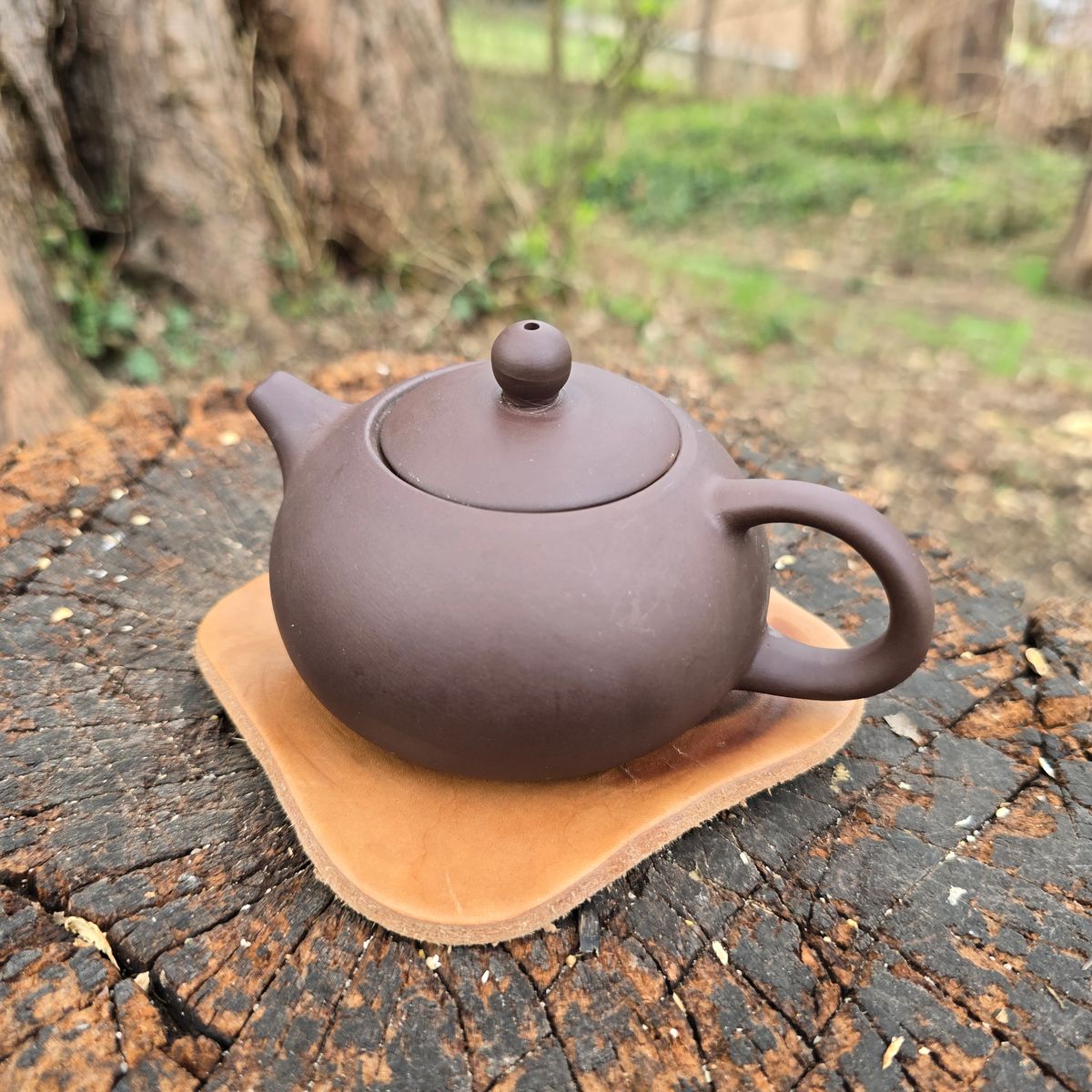 Photo by calljeef on April 3, 2026 of the Nicks Coaster in Wickett & Craig Natural Veg Tan.