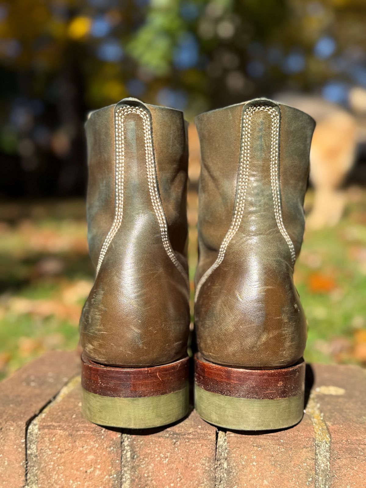 Photo by DinkyDog on November 3, 2025 of the Willie's Handmade Boots Boondocker in Maryam Olive Horsebutt.