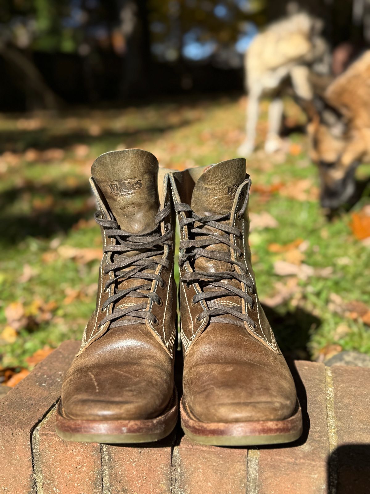 Photo by DinkyDog on November 3, 2025 of the Willie's Handmade Boots Boondocker in Maryam Olive Horsebutt.
