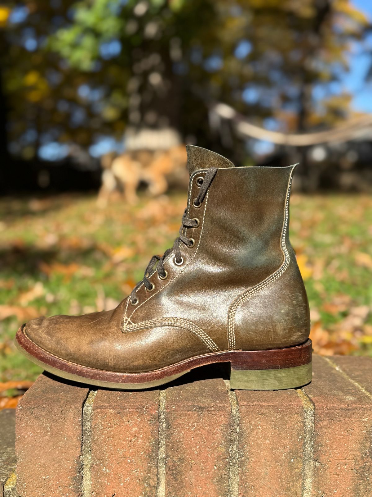 Photo by DinkyDog on November 3, 2025 of the Willie's Handmade Boots Boondocker in Maryam Olive Horsebutt.