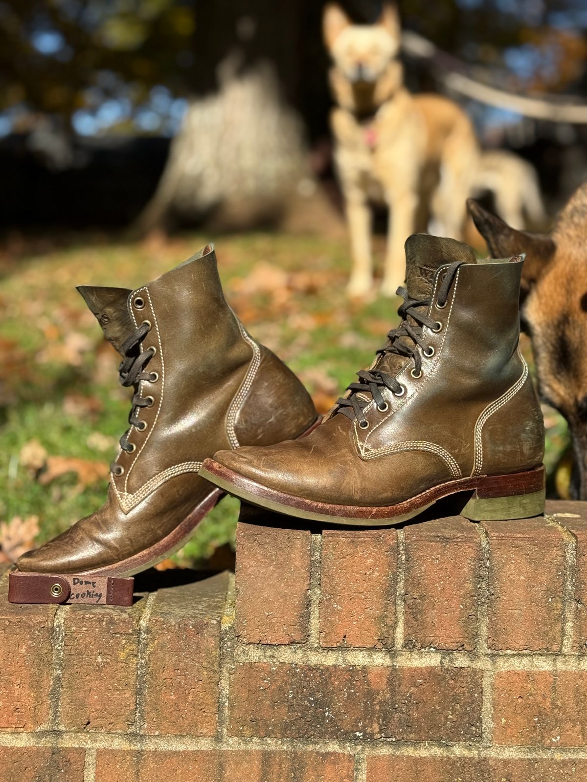 Photo by DinkyDog on November 3, 2025 of the Willie's Handmade Boots Boondocker in Maryam Olive Horsebutt.