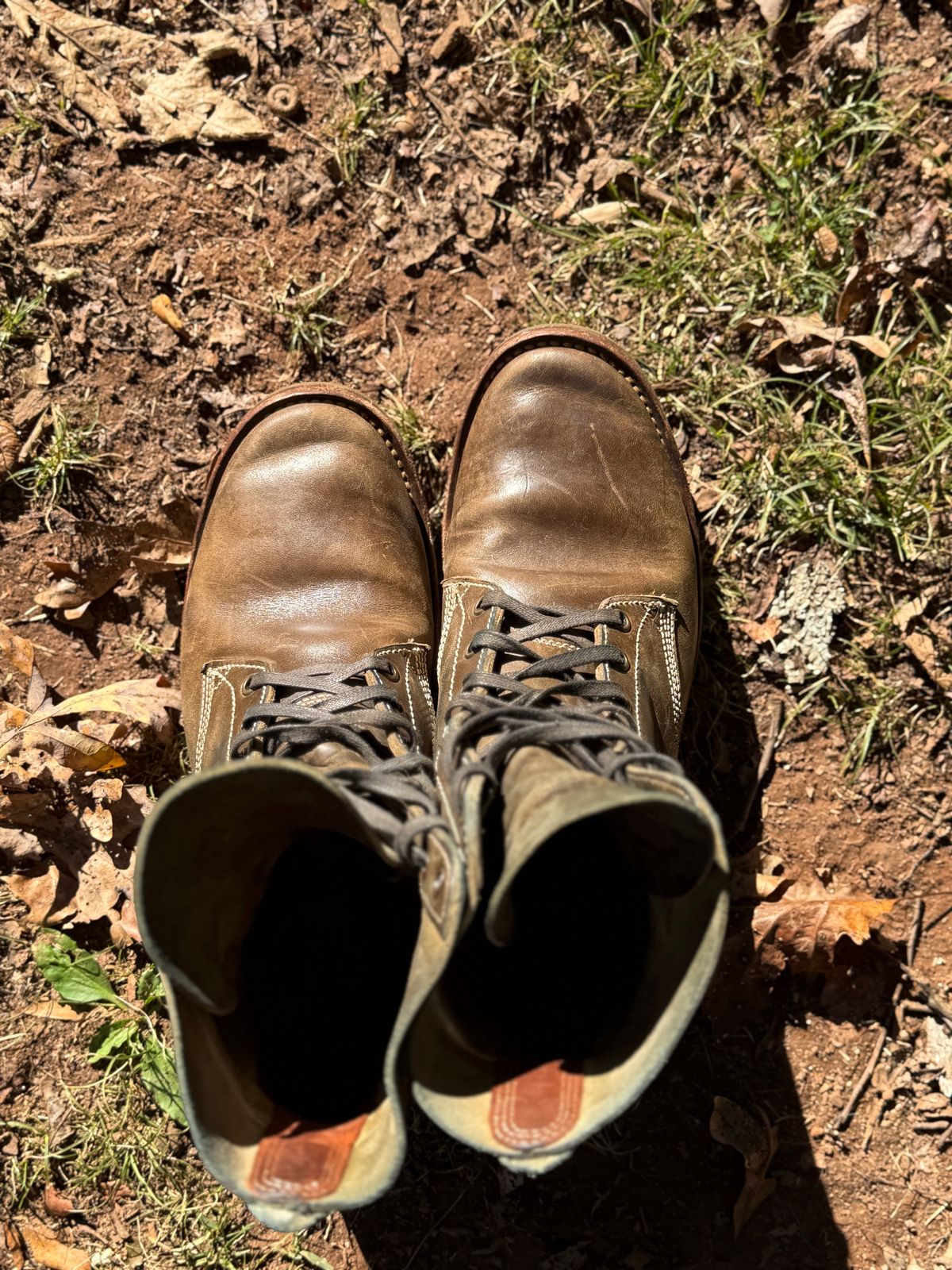 Photo by DinkyDog on November 3, 2025 of the Willie's Handmade Boots Boondocker in Maryam Olive Horsebutt.