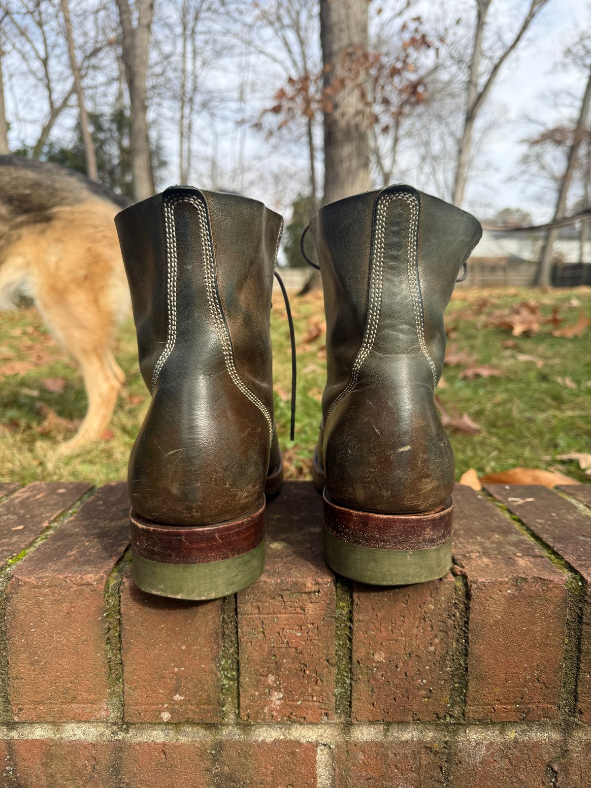 Photo by DinkyDog on December 3, 2025 of the Willie's Handmade Boots Boondocker in Maryam Olive Horsebutt.