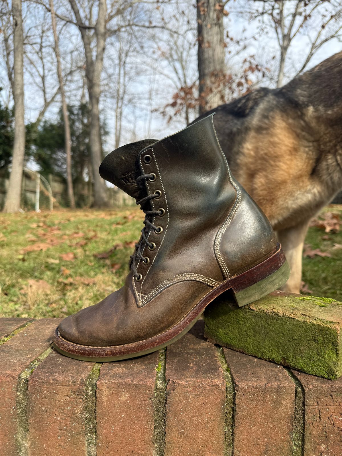 Photo by DinkyDog on December 3, 2025 of the Willie's Handmade Boots Boondocker in Maryam Olive Horsebutt.