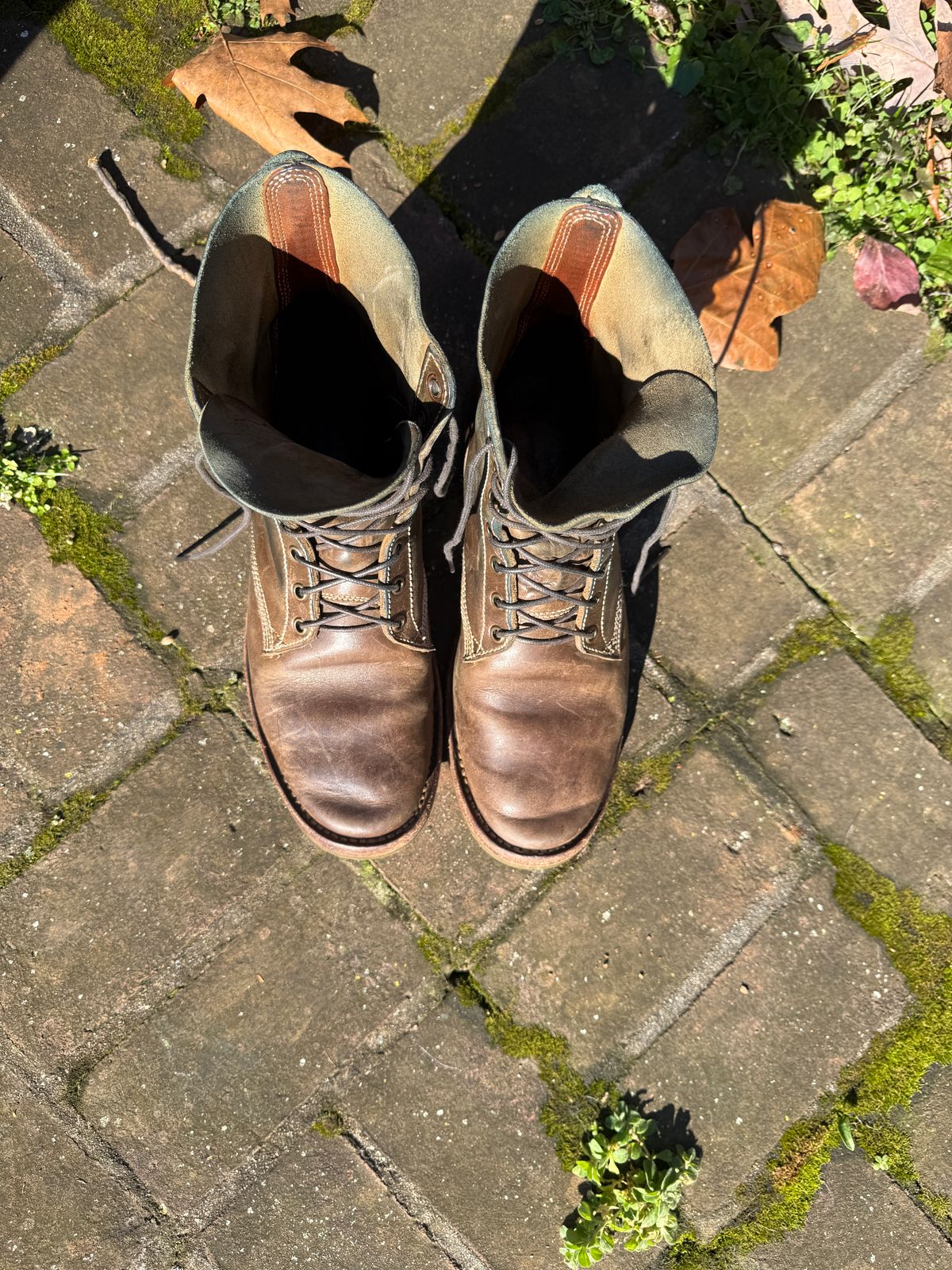 Photo by DinkyDog on December 3, 2025 of the Willie's Handmade Boots Boondocker in Maryam Olive Horsebutt.