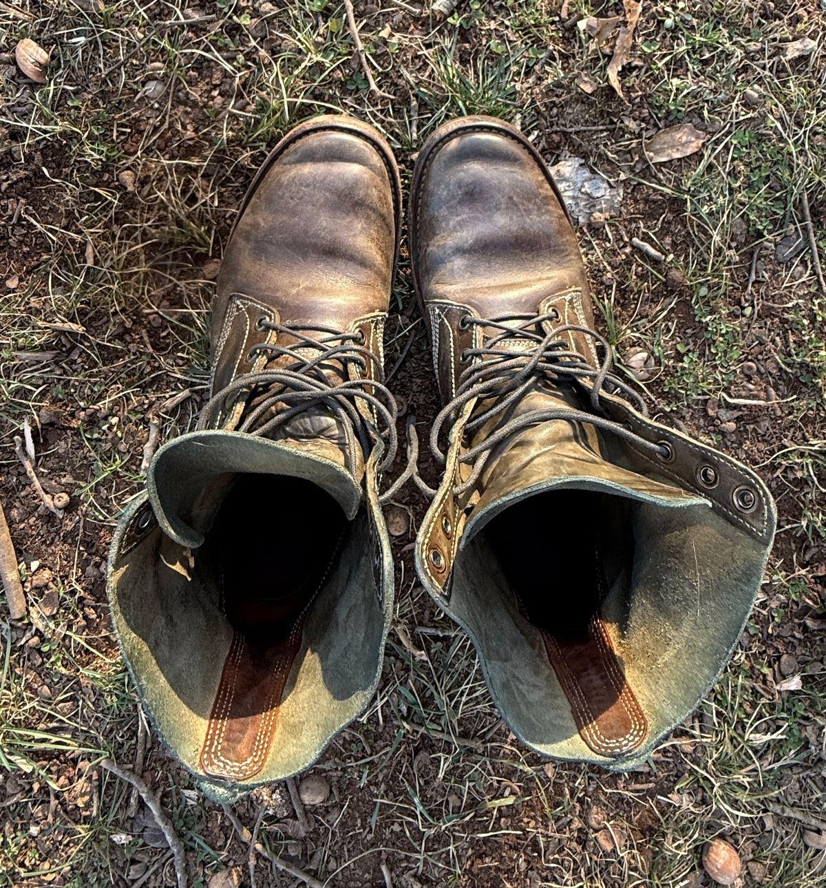 Photo by DinkyDog on December 31, 2025 of the Willie's Handmade Boots Boondocker in Maryam Olive Horsebutt.