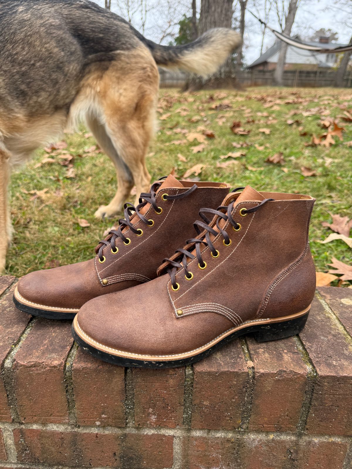 Photo by DinkyDog on December 4, 2025 of the Iron Boots Boondockers in Seidel Crust Double Shot.