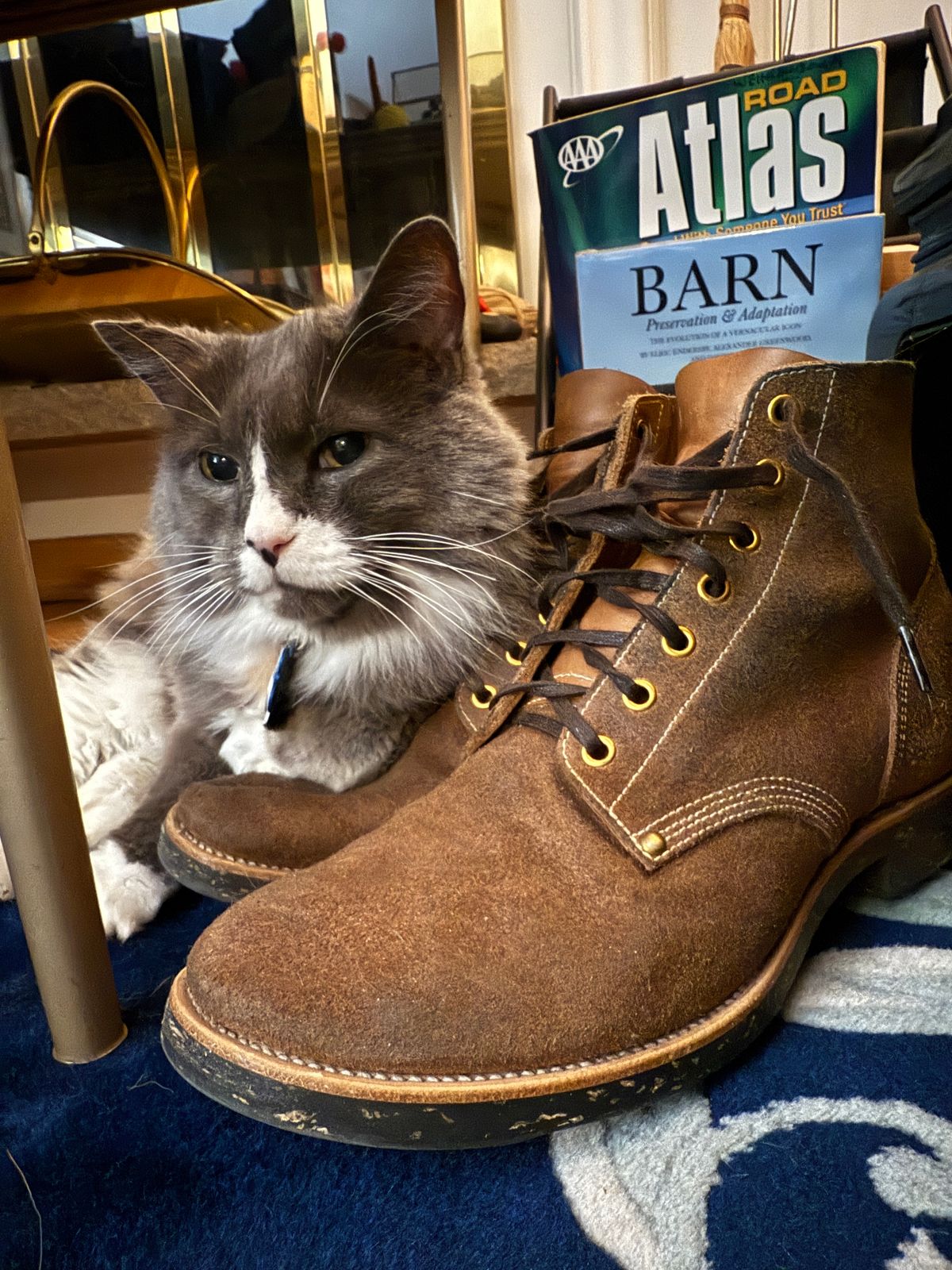 Photo by DinkyDog on December 14, 2025 of the Iron Boots Boondockers in Seidel Crust Double Shot.