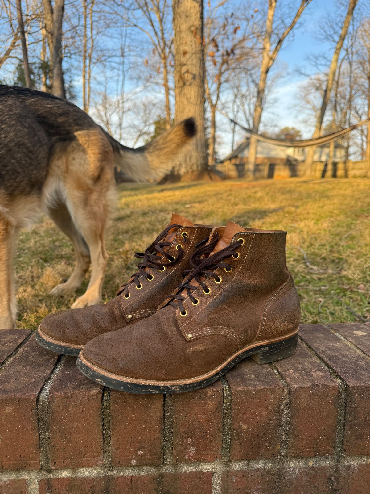 Photo by DinkyDog on January 6, 2026 of the Iron Boots Boondockers in Seidel Crust Double Shot.