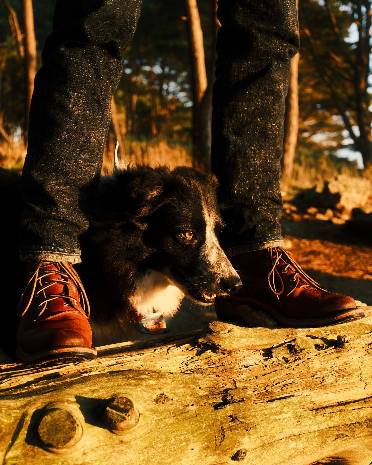 Photo by Clemmach on November 24, 2025 of the Nicks Robert in Horween Ember Waxed Flesh.