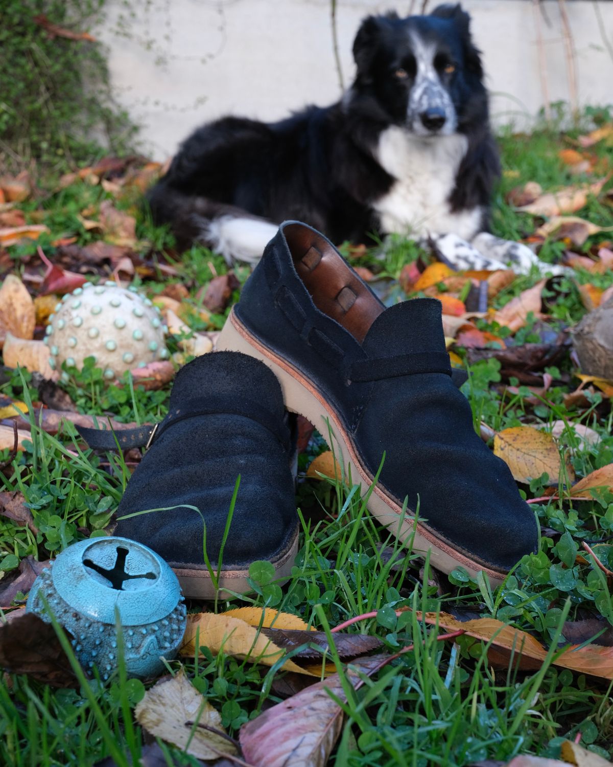 Photo by Clemmach on December 4, 2025 of the Oak Street Bootmakers Country Loafer in Horween Natural Indigo Chromexcel Roughout.