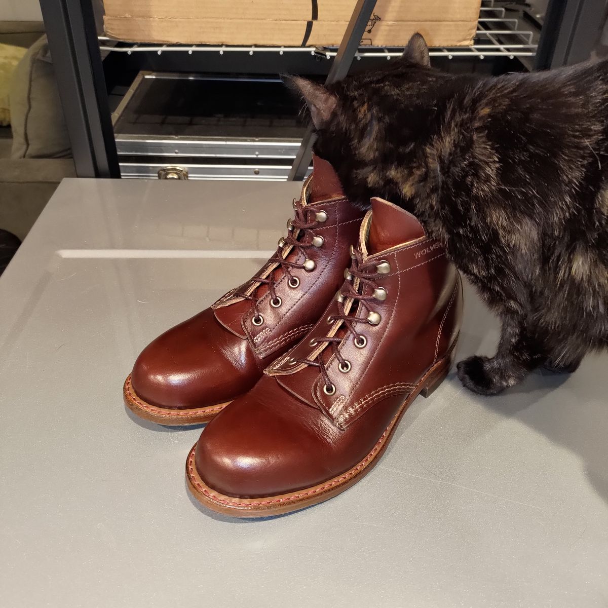 Photo by 3ringCircu5 on May 25, 2024 of the Wolverine 1000 Mile Plain-Toe Boot in Horween Tan/Cordovan (Color) Chromexcel.