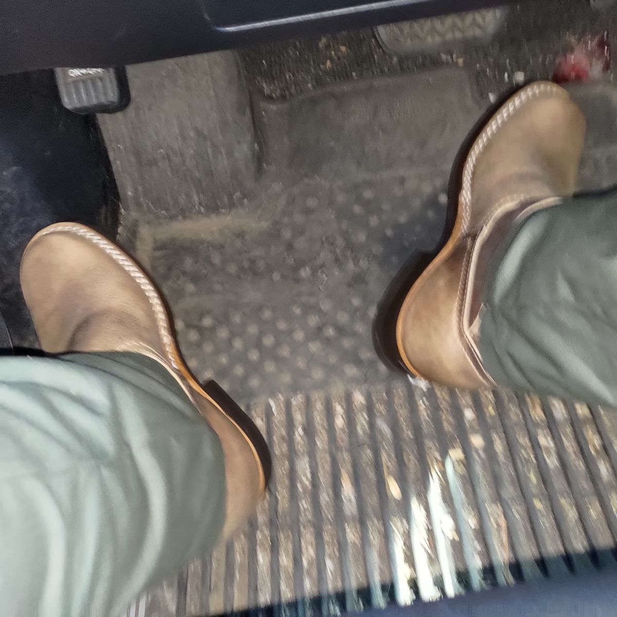 Photo by 3ringCircu5 on October 16, 2025 of the Nicks Pullman in Predator Natural.