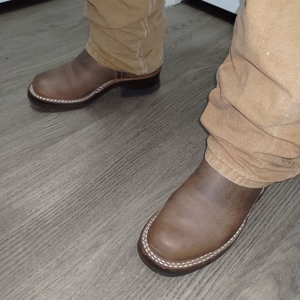 Photo by 3ringCircu5 on January 22, 2026 of the Nicks Pullman in Predator Natural.