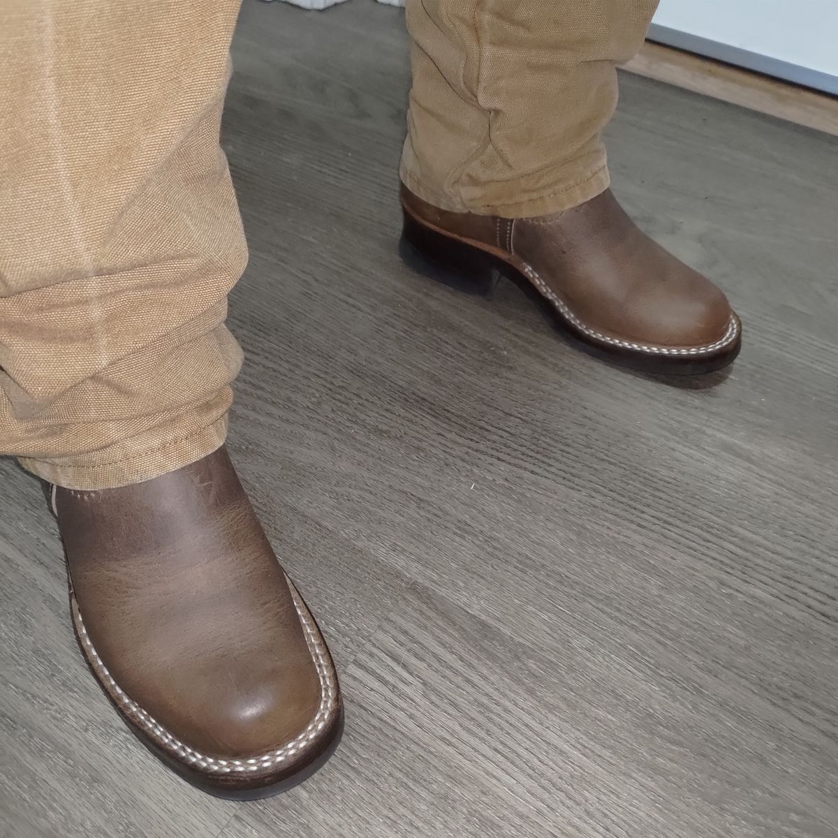 Photo by 3ringCircu5 on January 22, 2026 of the Nicks Pullman in Predator Natural.