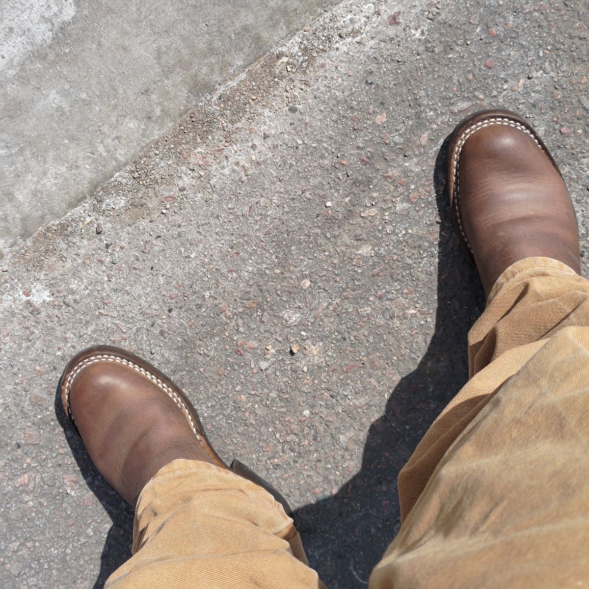 Photo by 3ringCircu5 on March 22, 2026 of the Nicks Pullman in Predator Natural.