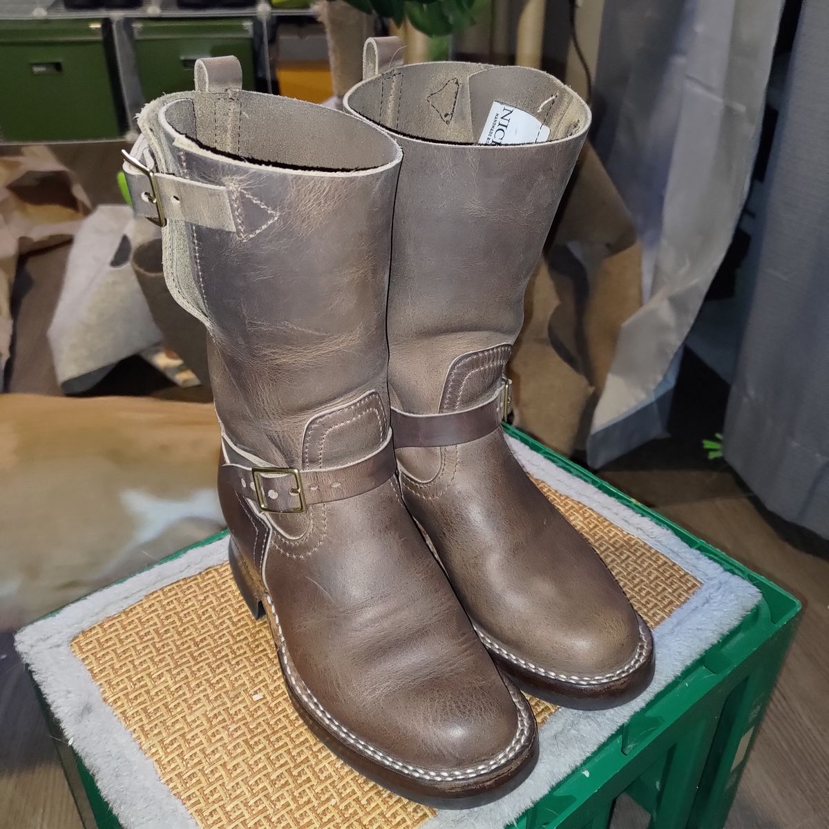 Photo by 3ringCircu5 on March 23, 2026 of the Nicks Pullman in Predator Natural.