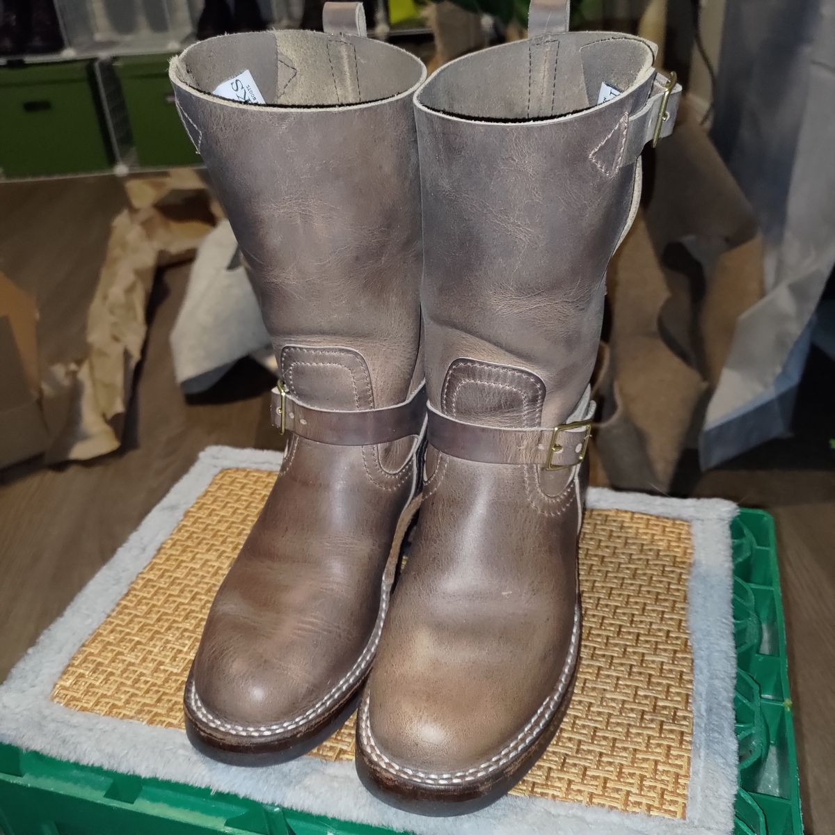 Photo by 3ringCircu5 on March 23, 2026 of the Nicks Pullman in Predator Natural.