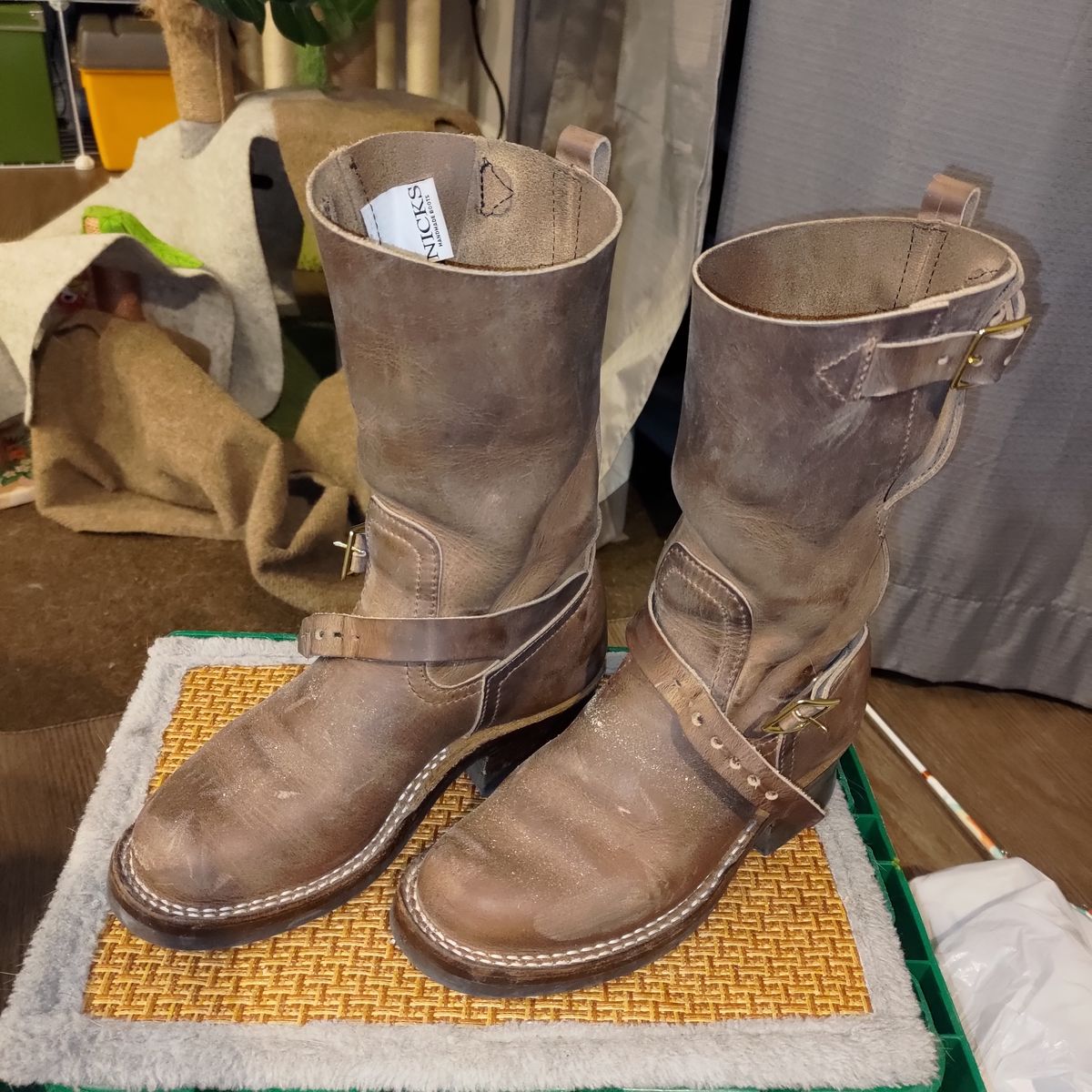 Photo by 3ringCircu5 on March 23, 2026 of the Nicks Pullman in Predator Natural.