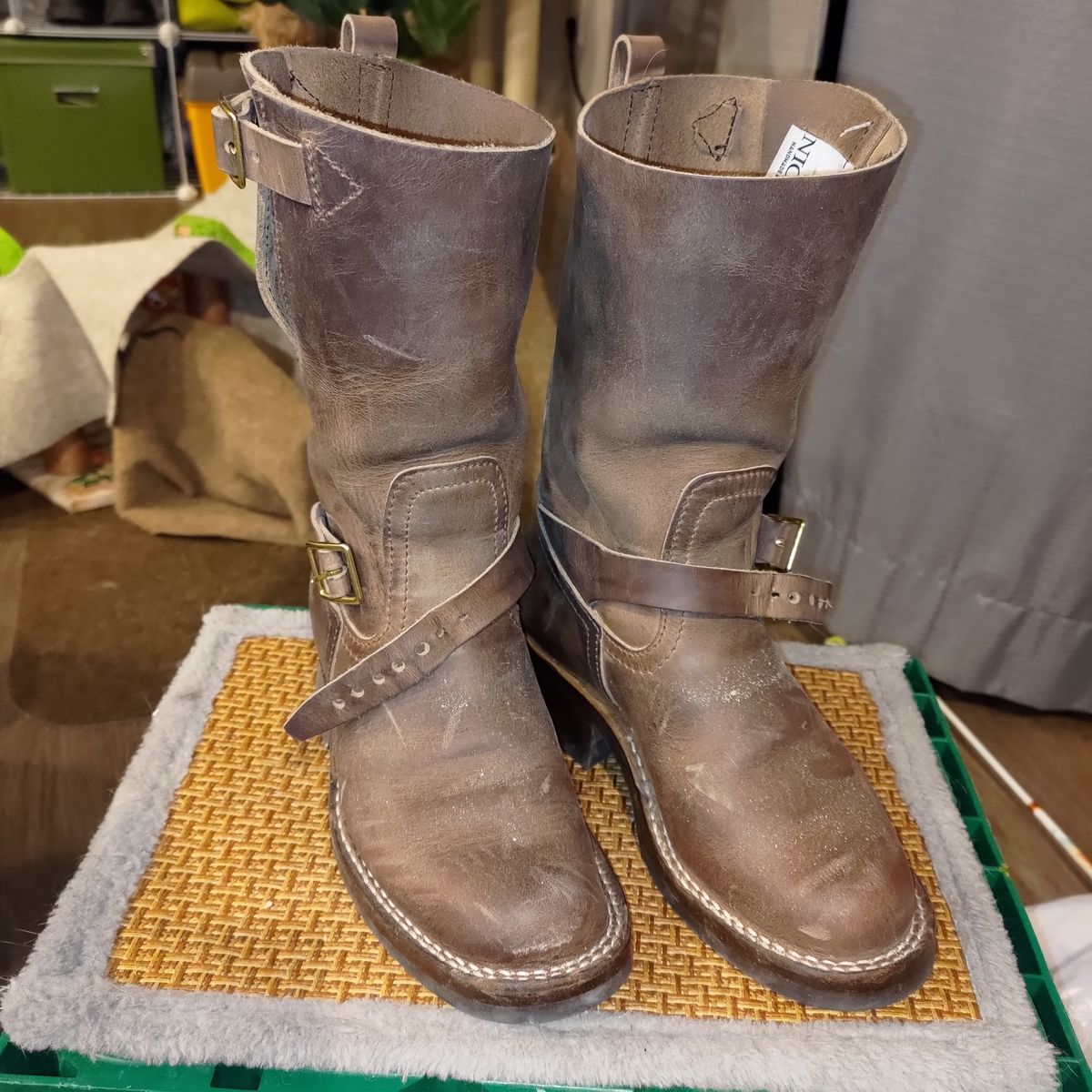 Photo by 3ringCircu5 on March 23, 2026 of the Nicks Pullman in Predator Natural.