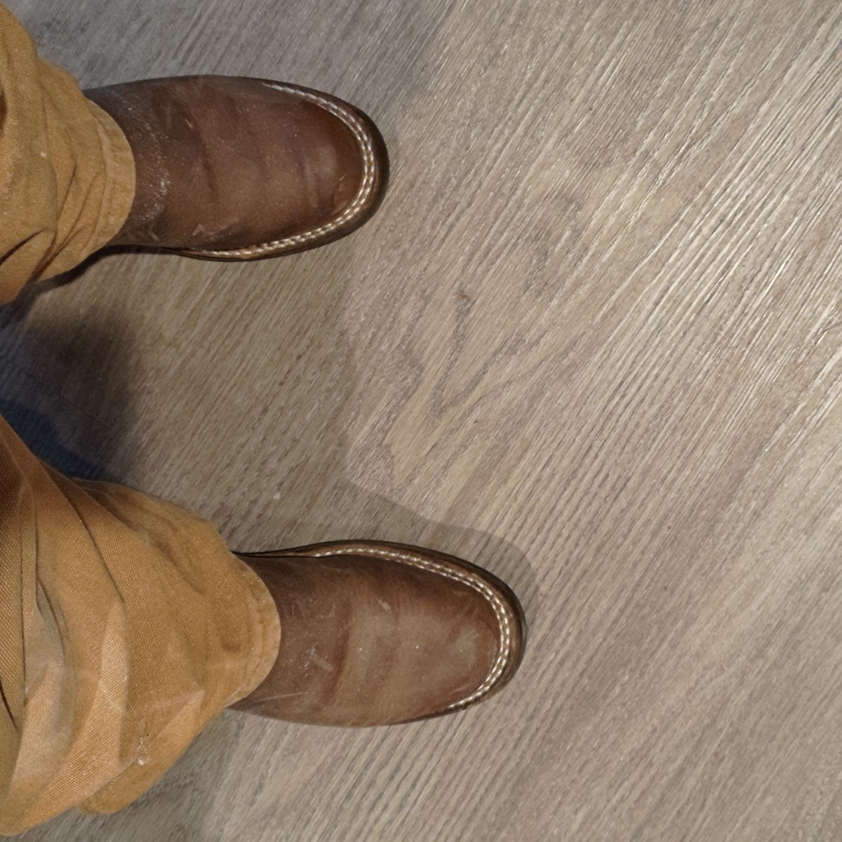 Photo by 3ringCircu5 on March 23, 2026 of the Nicks Pullman in Predator Natural.