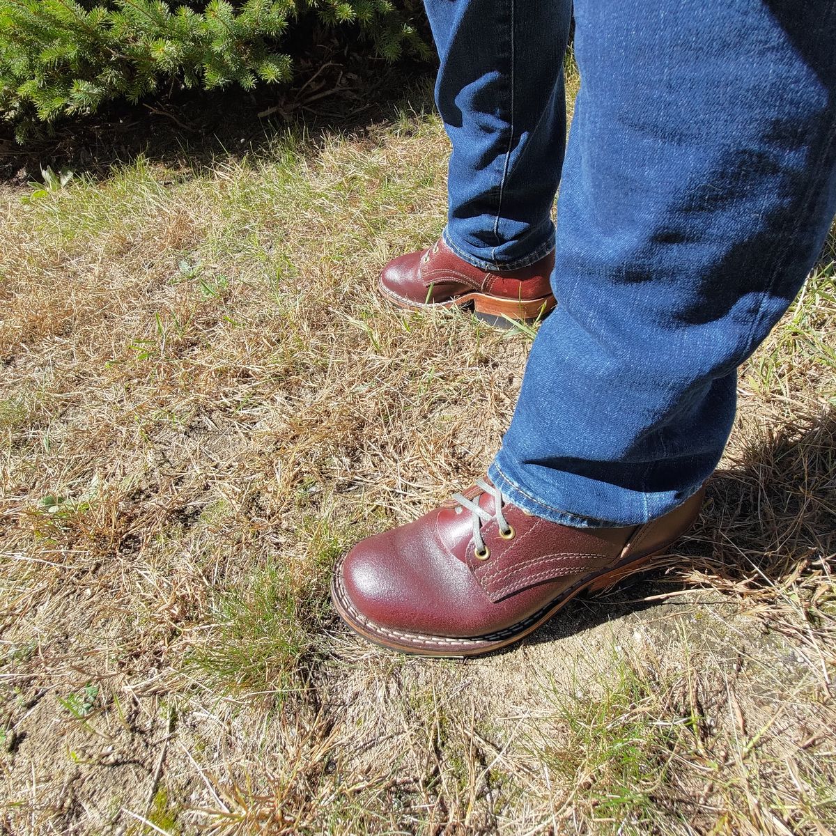 Photo by 3ringCircu5 on September 27, 2024 of the Nicks MTO in Horween Tan Waxed Flesh.