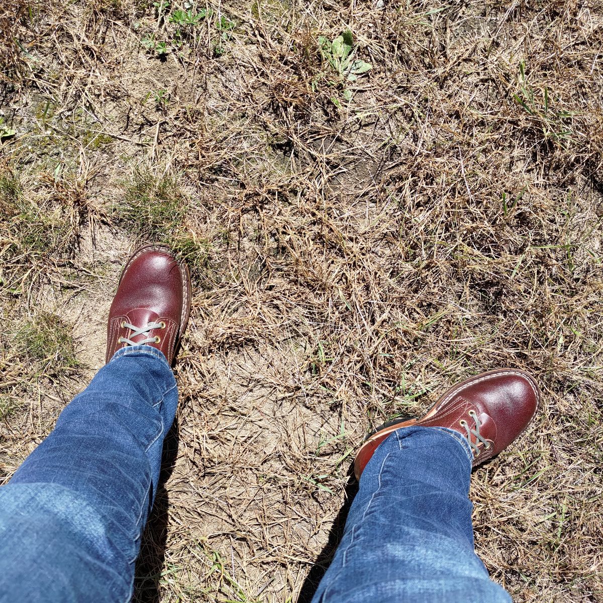 Photo by 3ringCircu5 on September 27, 2024 of the Nicks MTO in Horween Tan Waxed Flesh.