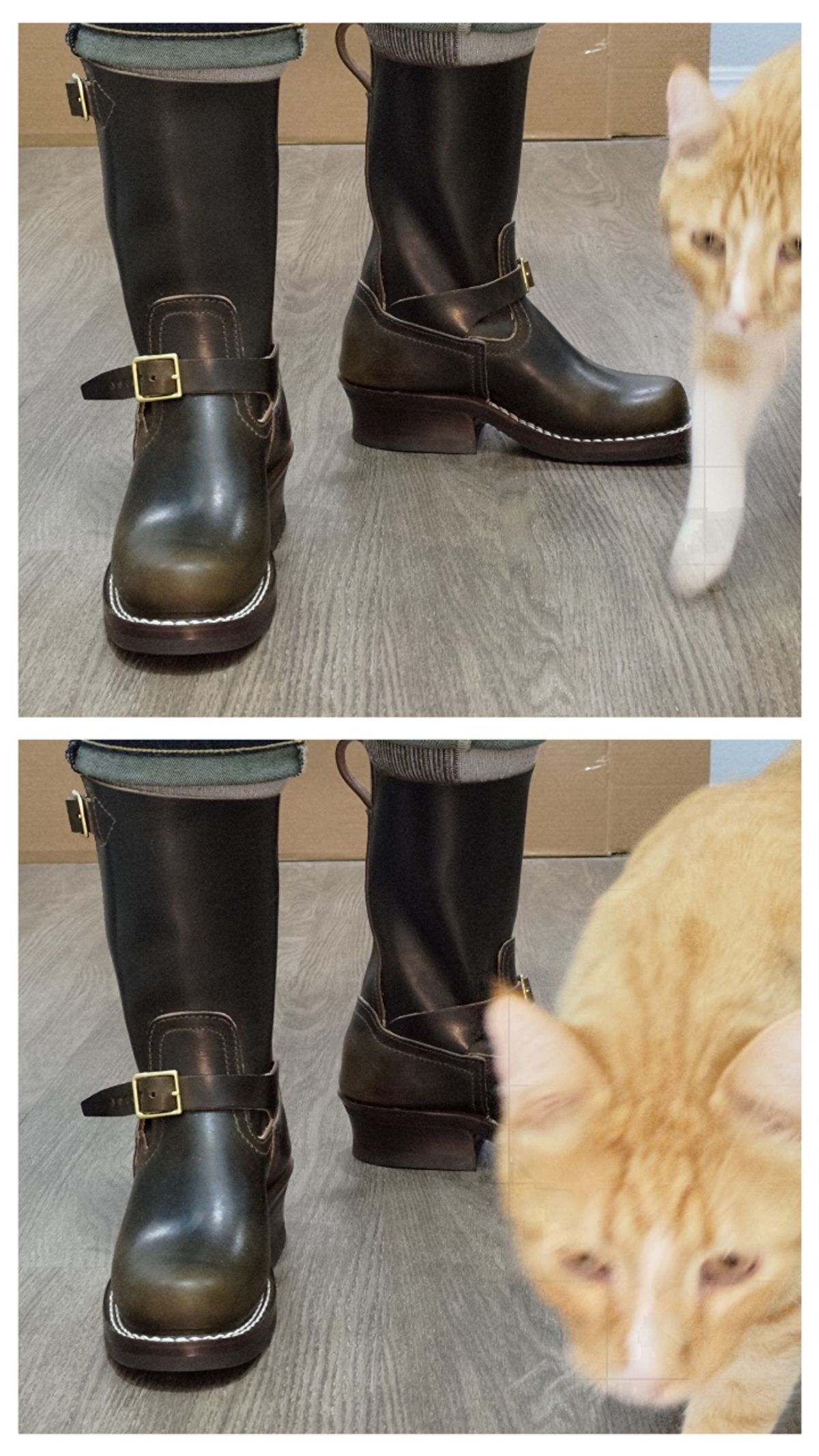 Photo by 3ringCircu5 on December 21, 2025 of the Nicks Pullman in Wickett & Craig Olive Double Stuffed.