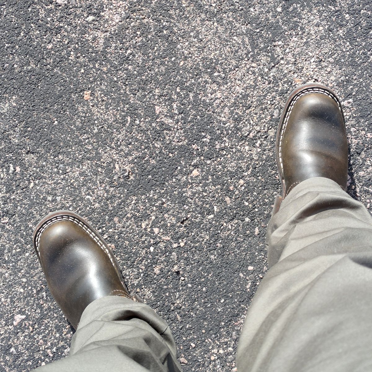 Photo by 3ringCircu5 on March 2, 2026 of the Nicks Pullman in Wickett & Craig Olive Double Stuffed.