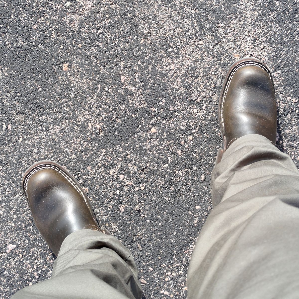 Photo by 3ringCircu5 on March 2, 2026 of the Nicks Pullman in Wickett & Craig Olive Double Stuffed.