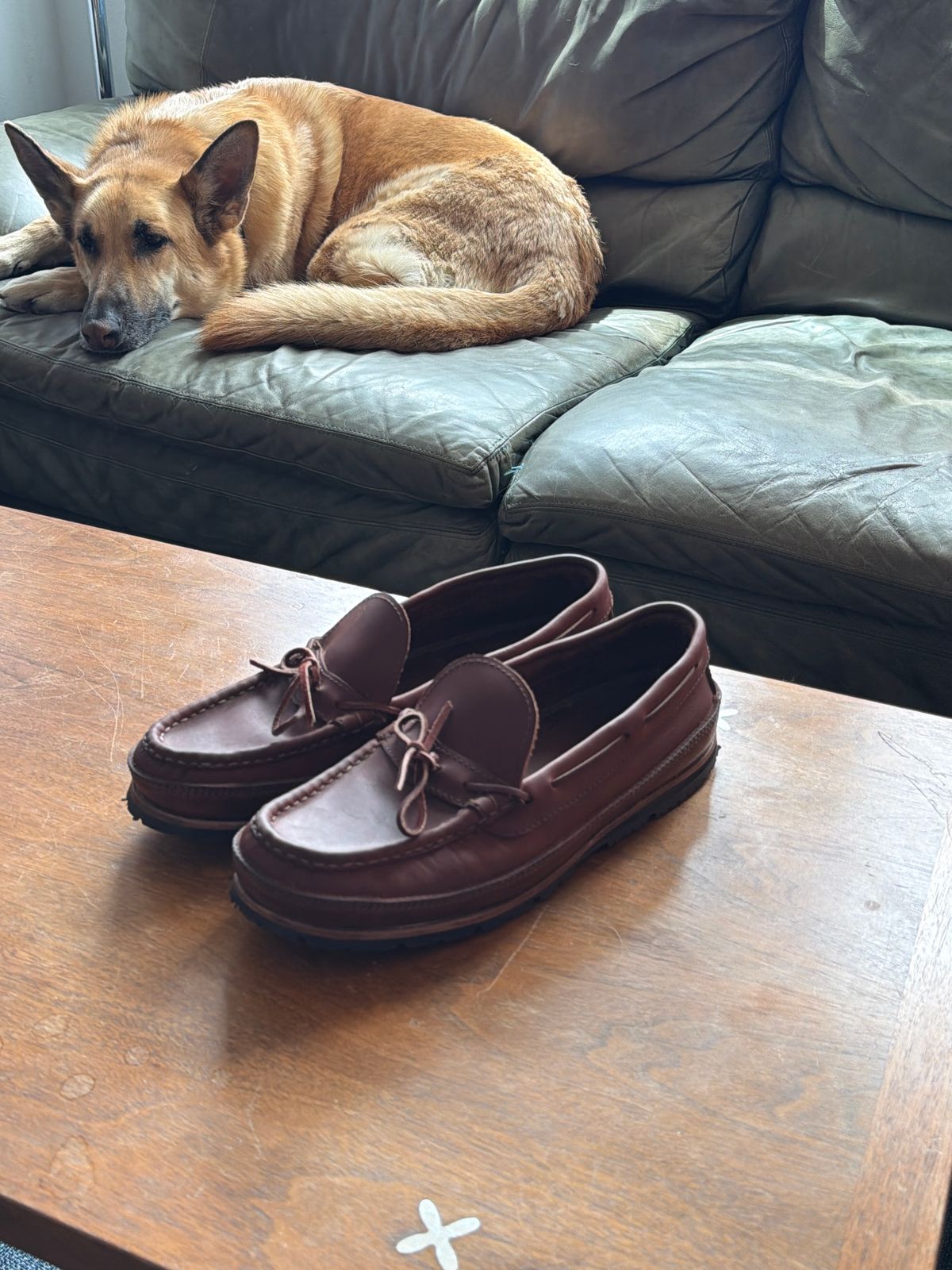 Photo by johnny.tahoe on April 13, 2026 of the Russell Moccasin Co. Oneida in Full-Grain Timberjack.