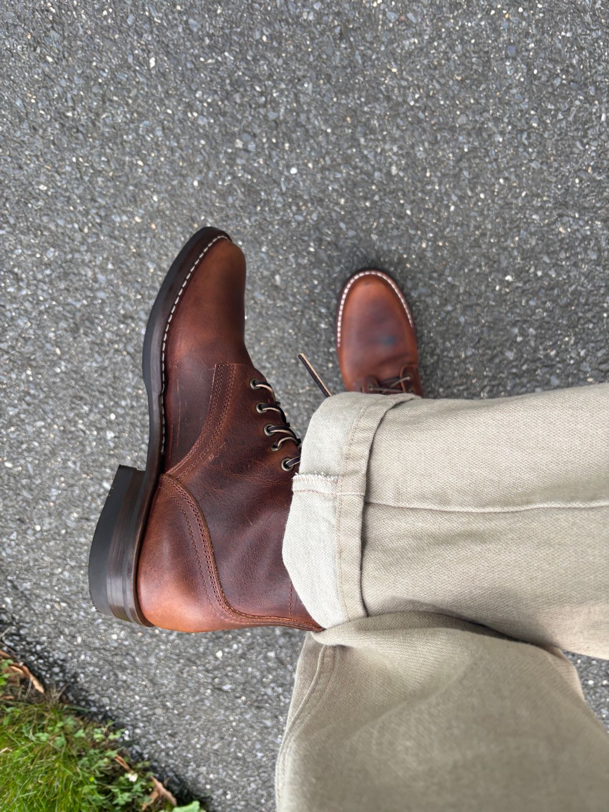 Photo by Nauta on May 27, 2026 of the Nicks Ivan in Italian Brown Cypress.