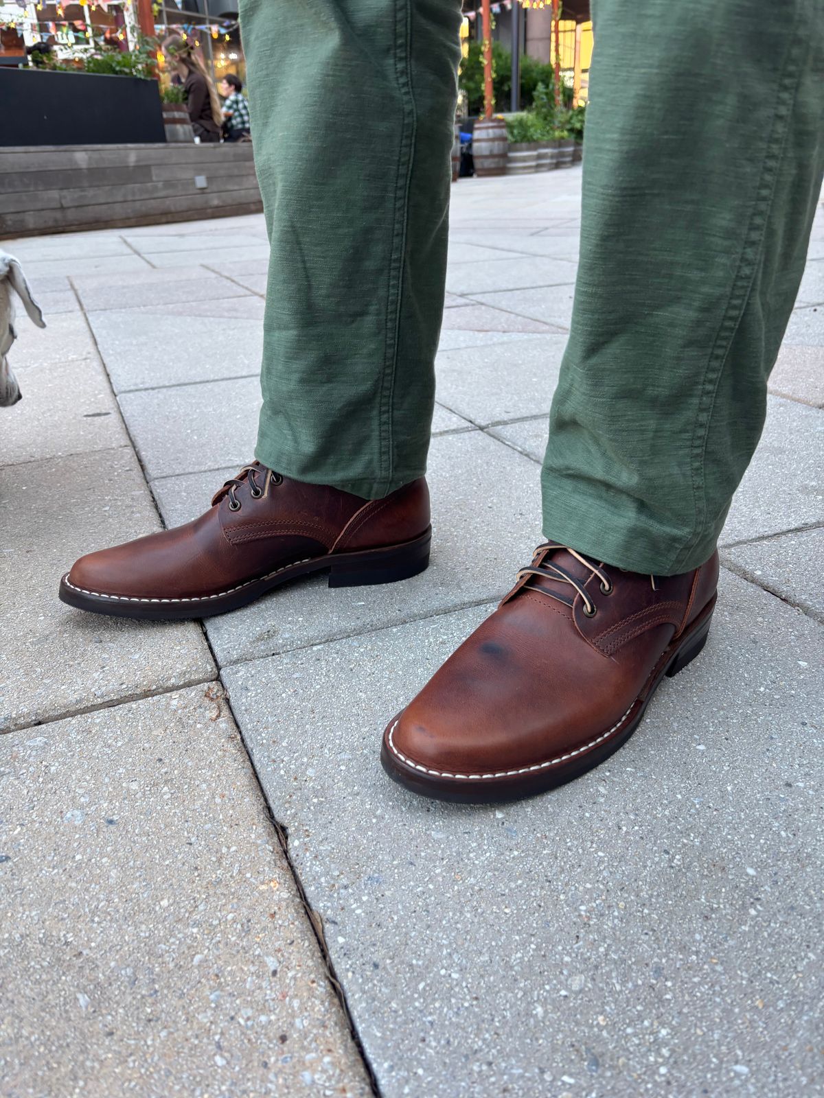 Photo by Nauta on May 28, 2026 of the Nicks Ivan in Italian Brown Cypress.
