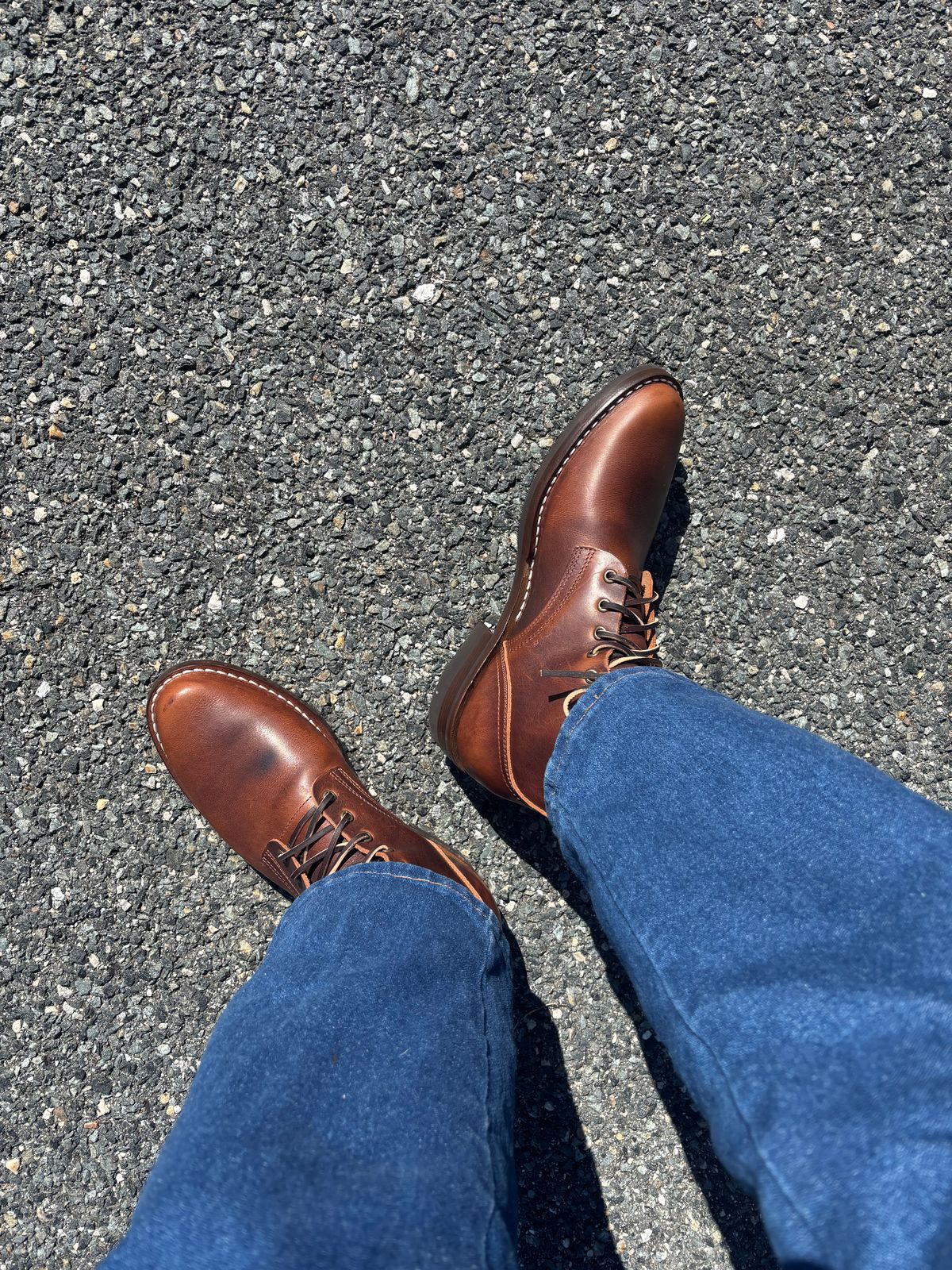 Photo by Nauta on May 29, 2026 of the Nicks Ivan in Italian Brown Cypress.