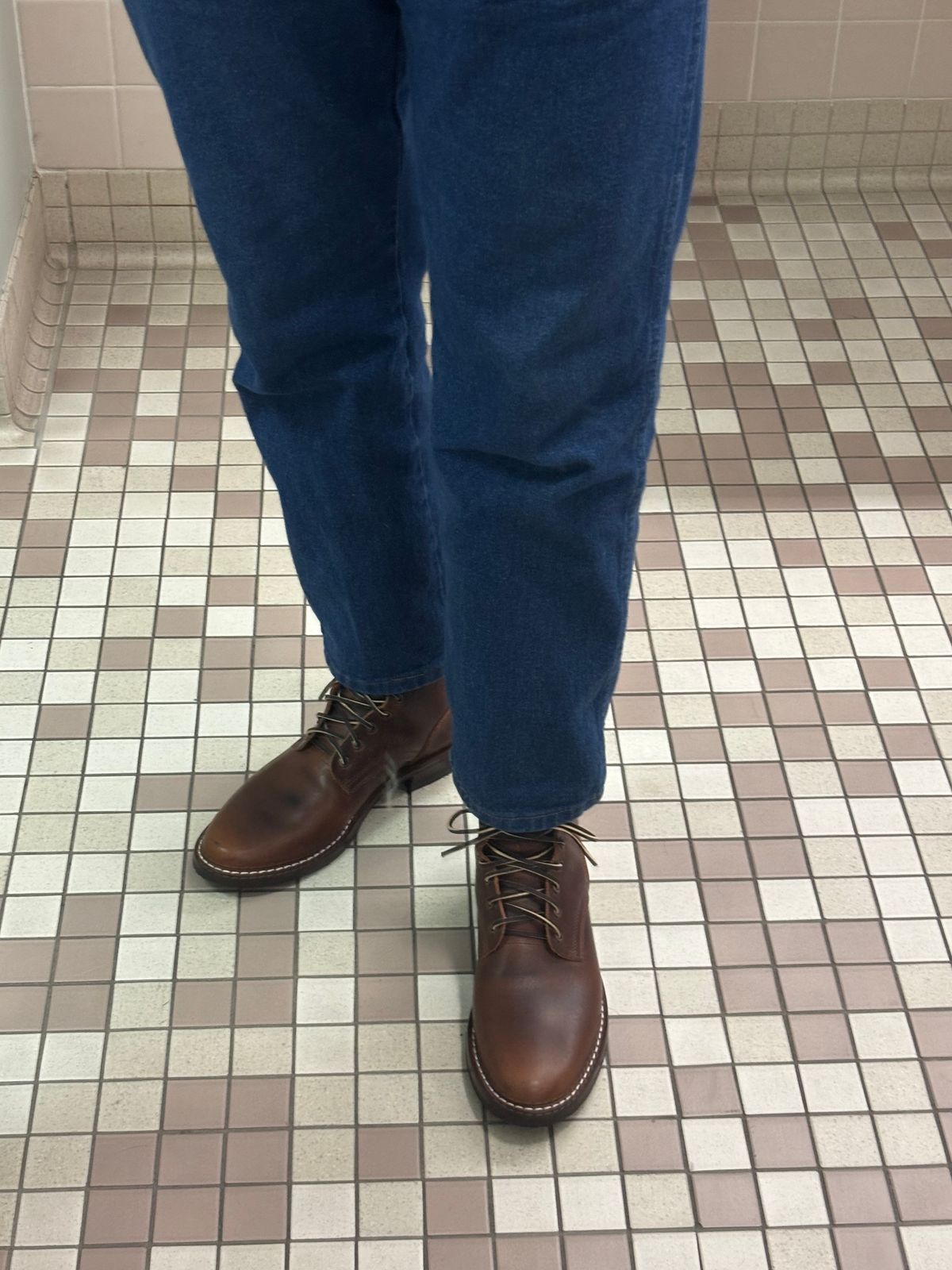 Photo by Nauta on May 29, 2026 of the Nicks Ivan in Italian Brown Cypress.