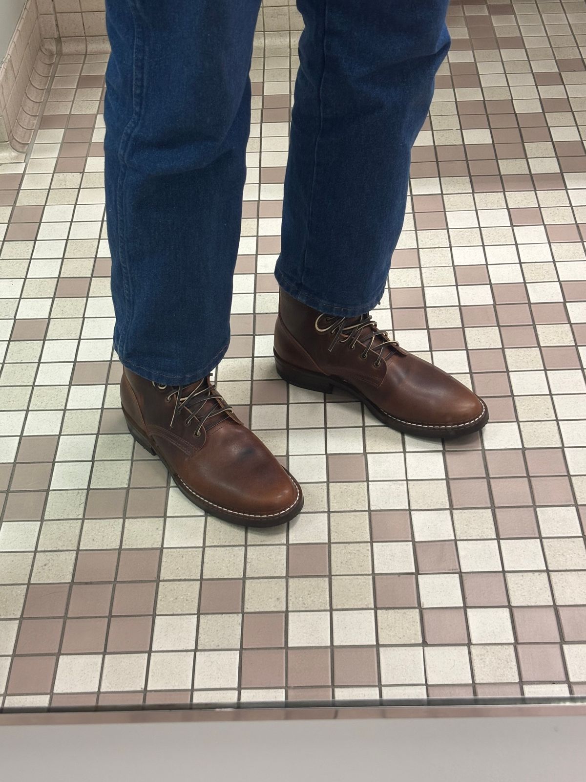 Photo by Nauta on May 29, 2026 of the Nicks Ivan in Italian Brown Cypress.