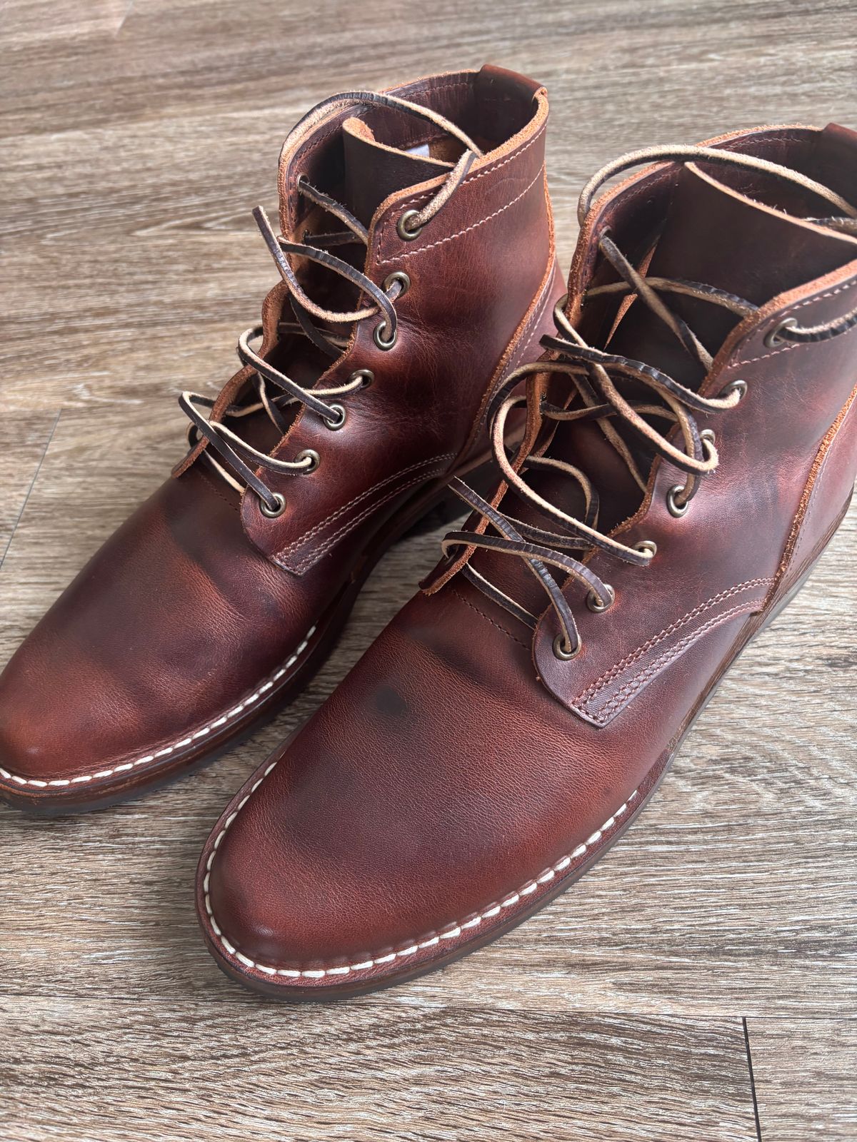 Photo by Nauta on June 21, 2026 of the Nicks Ivan in Italian Brown Cypress.