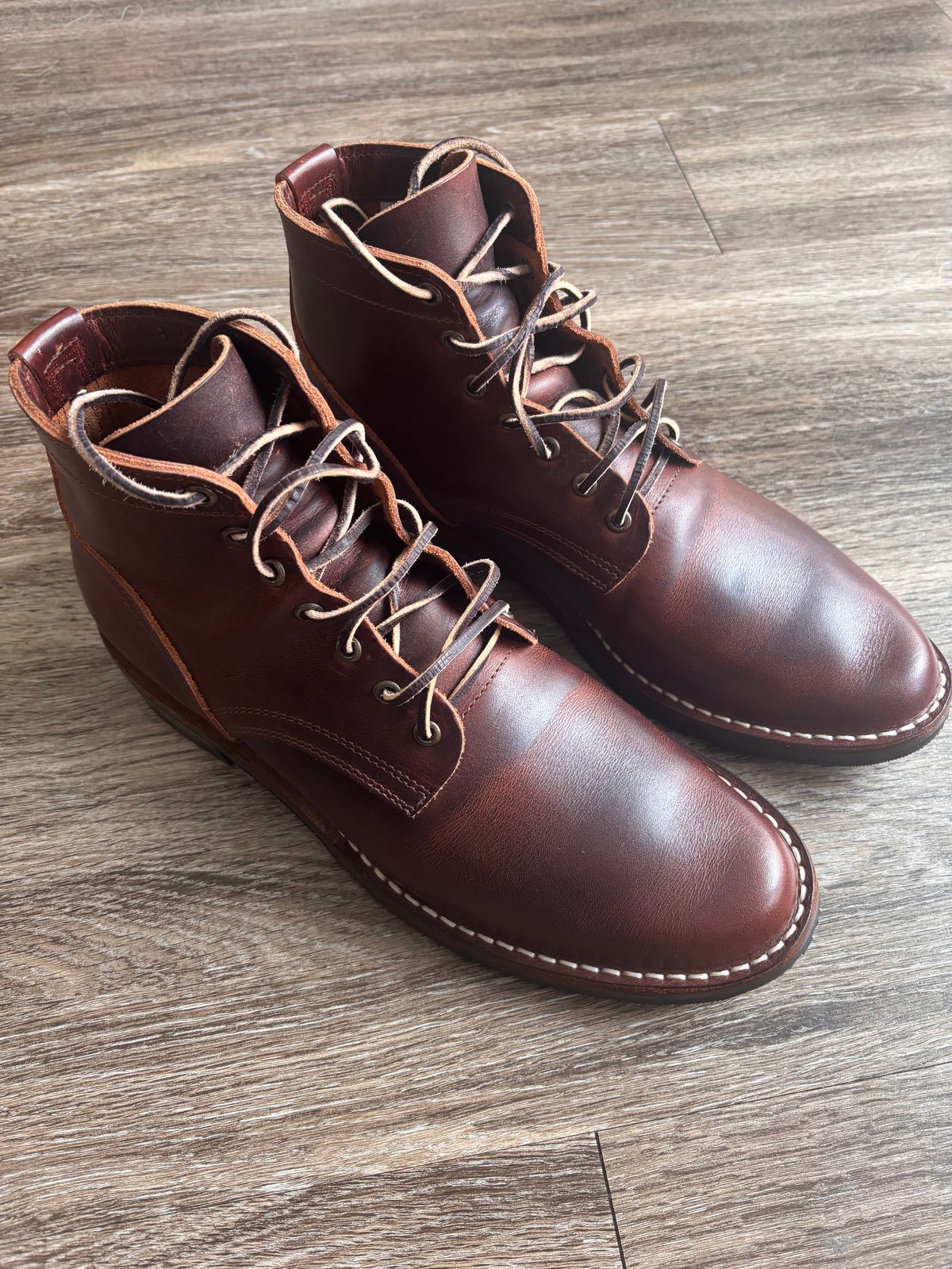Photo by Nauta on June 21, 2026 of the Nicks Ivan in Italian Brown Cypress.