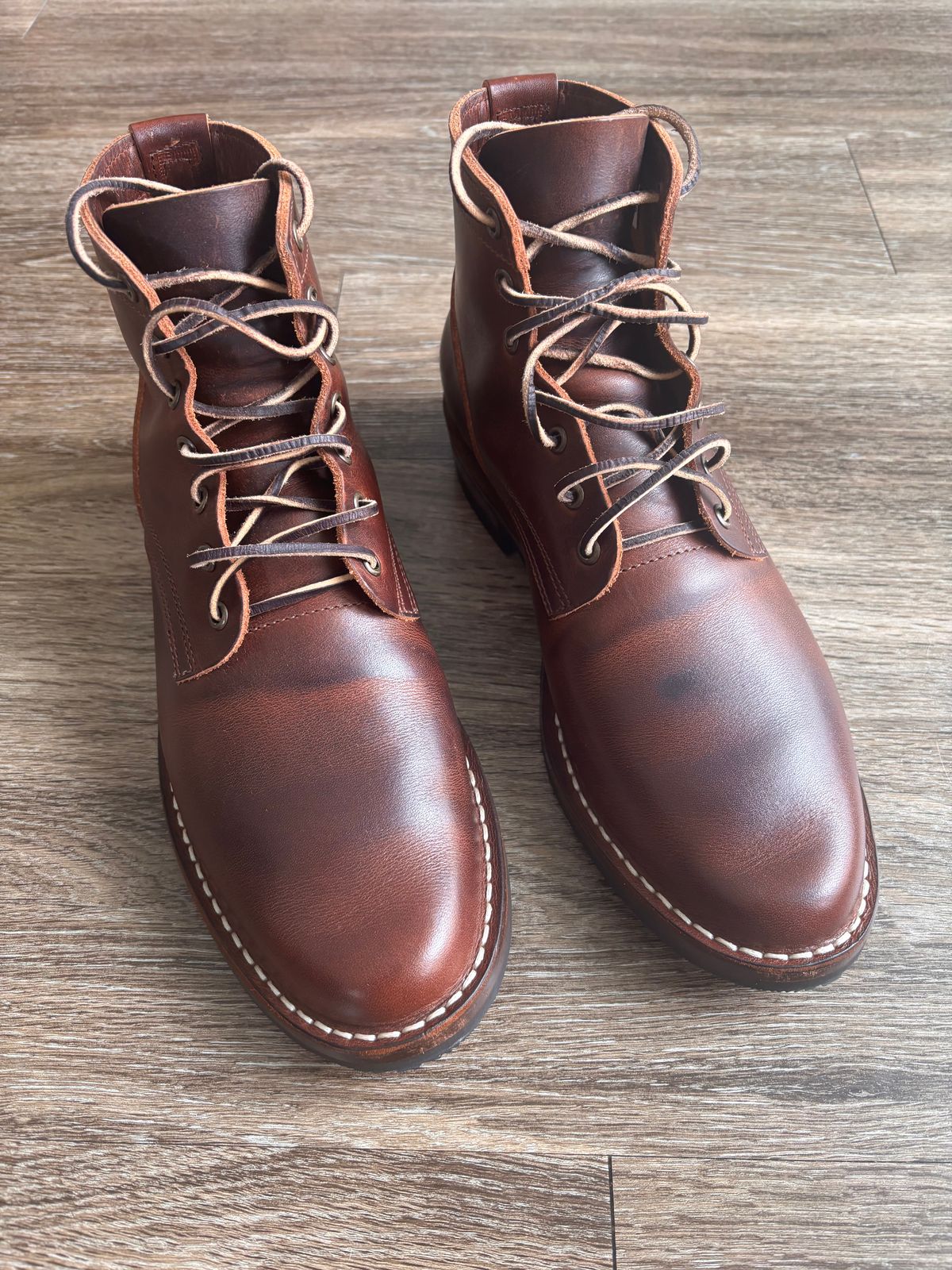 Photo by Nauta on June 21, 2026 of the Nicks Ivan in Italian Brown Cypress.