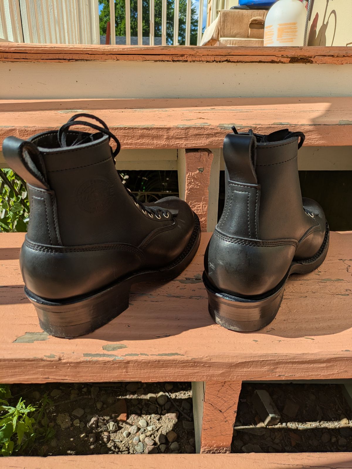 Photo by Seatpost on June 6, 2026 of the Frank's Boots Lace-To-Toe in Seidel Black Oil Tan.