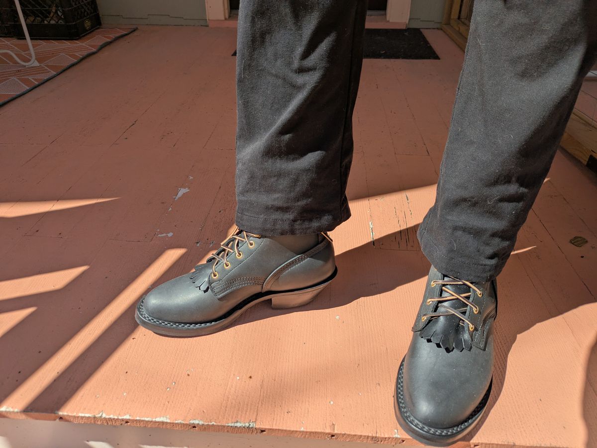 Photo by Seatpost on April 7, 2026 of the Nicks Packer in Nicks / Spokane Black.