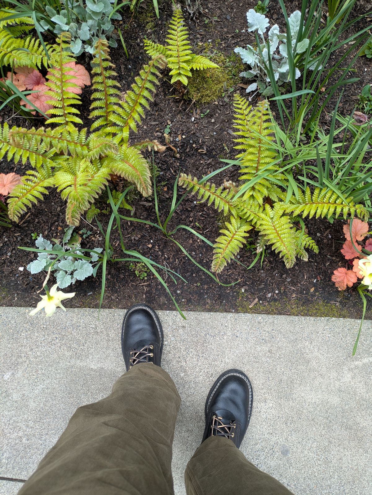 Photo by Seatpost on April 10, 2026 of the Nicks Officer in Horween Black Waxed Flesh.