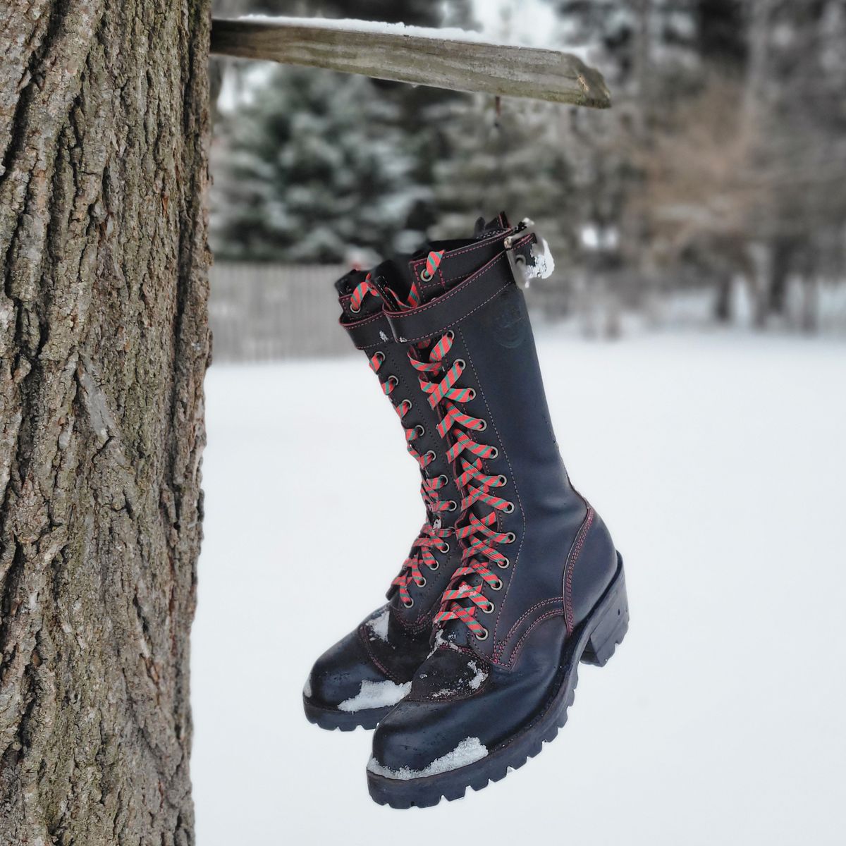 Photo by Trisc900 on December 5, 2025 of the Frank's Boots Custom Model in Bloodcore - Seidel Tannery.