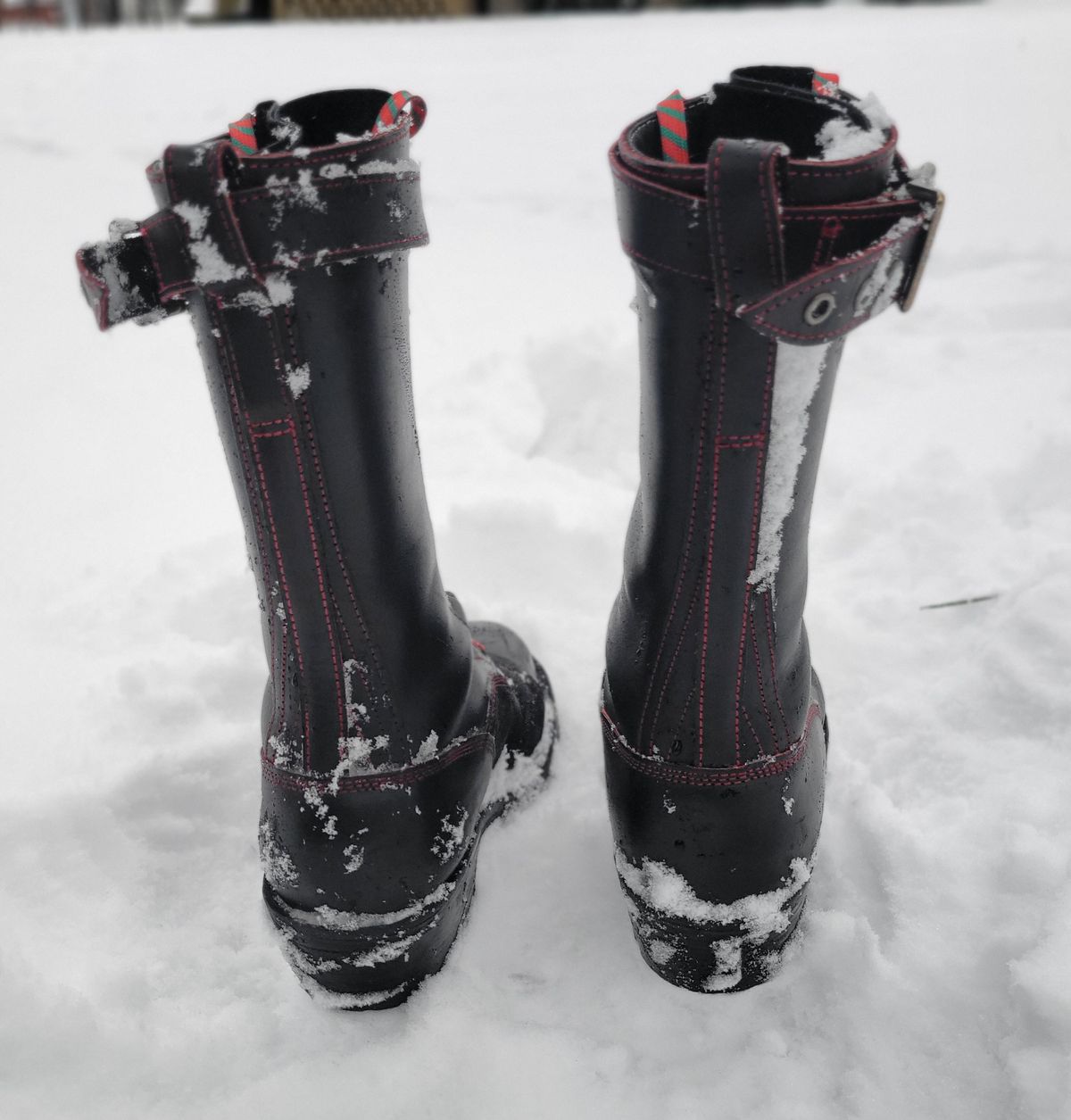 Photo by Trisc900 on December 5, 2025 of the Frank's Boots Custom Model in Bloodcore - Seidel Tannery.