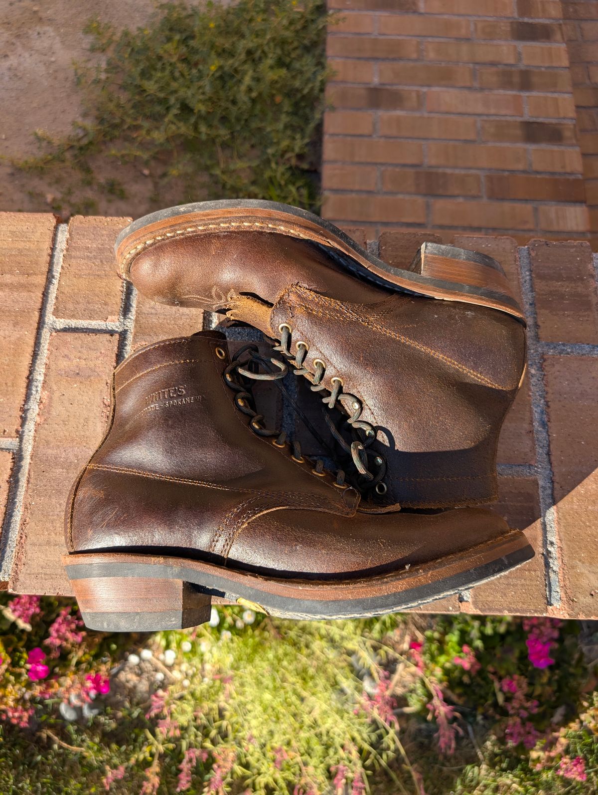 Photo by Aus10g on November 2, 2025 of the White's Sundance in Horween Cinnamon Waxed Flesh.